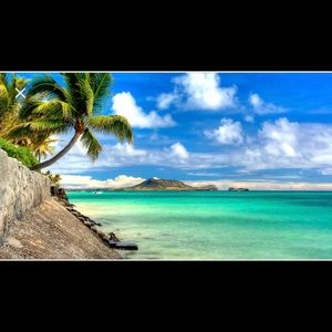 Meet your Posher, Kaitlin